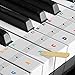 Mutsrd Piano Stickers for Keys - for 49/61/76/88 Key Keyboards -Transparent and Removable with Free Sheet of Replacement Stickers