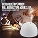 USB Mini Humidifier,Beauty Nymph Portable Cool Mist Humidifiers for Home Office Car etc.