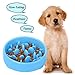 XZQTIVE Slow Feeder Dog Bowl Healthy Slow Eating Bowls for Dog Anti Fasting Eater