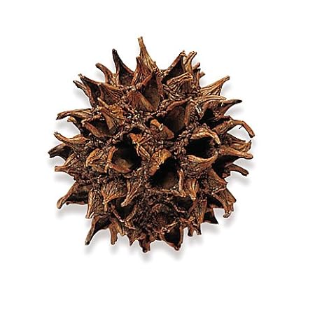 Dekomaterial 'Amberzapfen' im Beutel (30 g)