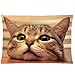 Cute kitten lovely cat Zippered Pillowcase, Twin Sides Pillowcase Pillow Cover 20x30 inches
