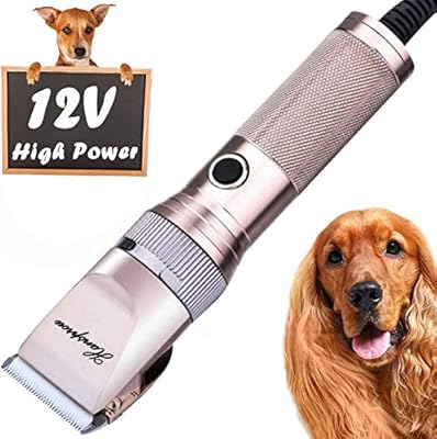 best place to buy dog clippers
