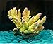 Danmu 1pc Polyresin Coral Ornaments, Aquarium Coral Decor for Fish Tank Aquarium Decoration (Yellow)thumb 1