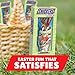 SNICKERS Easter Chocolate Candy Bar Solid Easter Bunny 5-Ounce Bar 6-Count Box