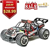 RC Car, Remote Control Car Racing Buggy Car, 1:16 Scale 2WD 2.4Ghz Electric High Speed RC Truck Off Road Vehicle (RC Car 1/16)