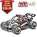 RC Car, Remote Control Car Racing Buggy Car, 1:16 Scale 2WD 2.4Ghz Electric High Speed RC Truck Off Road Vehicle (RC Car 1/16)