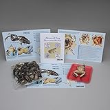 Advanced Frog Dissection BioKit with Dissection Mats