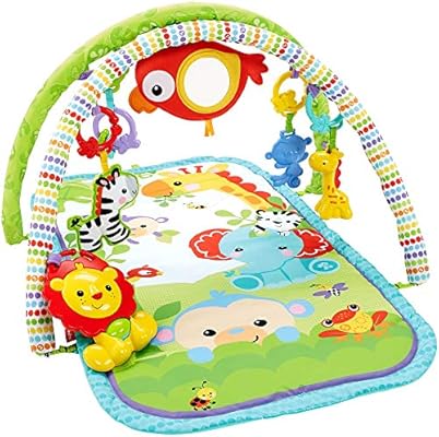 3 in 1 play gym