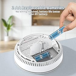 SITERWELL Smoke Detector Carbon Monoxide Detector