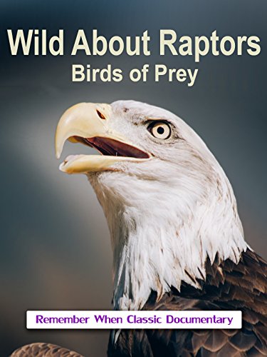 Wild About - Raptors - Birds of Prey