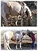 Super Weight Gain 10 lb, Equine Vitamin Mineral, Probiotic & Weight Gain Supplement