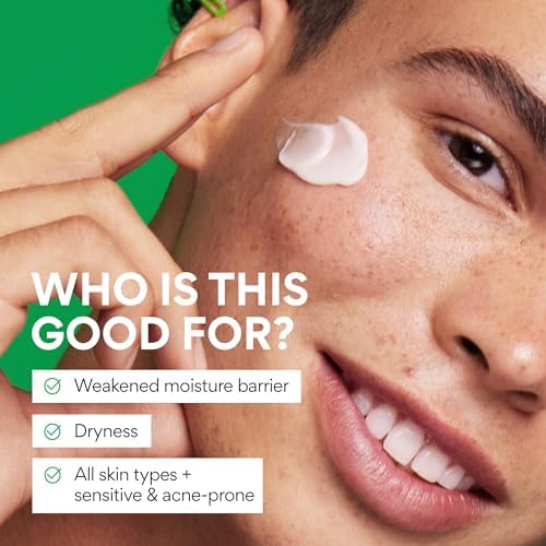 innisfree Green Tea Seed Hyaluronic Acid Cream with Barrier Boosting Complex & Ceramide, Hydrating Korean Face Moisturizer and Balancing Cream