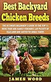 Best Backyard Chicken Breeds: The Ultimate Beginner's Guide to the Top 15 Hens that are Family-Frien by James Wood