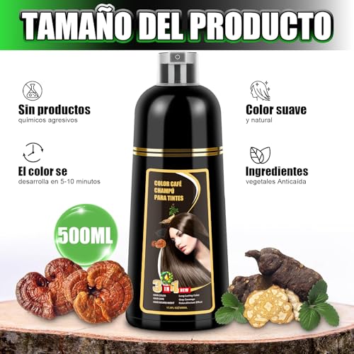 Shampoo con Tinte 3 en 1 Hair Dye Shampoo Negro Cubre Canas al Instante Extracto Jengibre y Ginseng Tratamiento Capilar Colorante 500ml para Todo Tipo de Cabello Mujer y Hombre