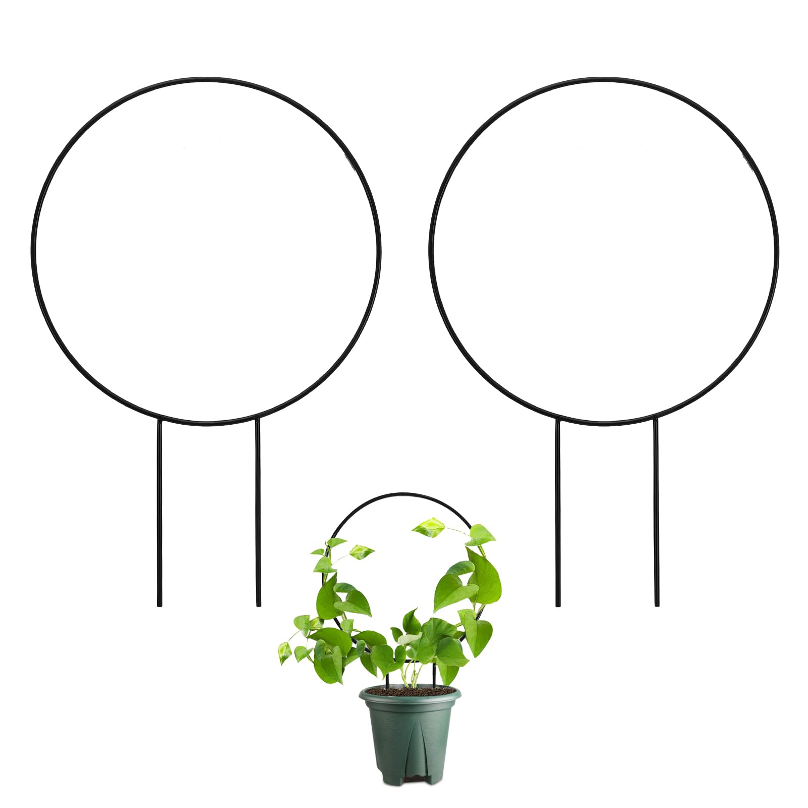 Huakaile 2 Pack Small Trellis for Potted Plants Climbing, 13.7" Outdoor Indoor Plant Trellis, Stackable Garden Plant Climber Support, Metal Houseplant Trelli Stakes for Vine Ivy Flowerpot (Round)