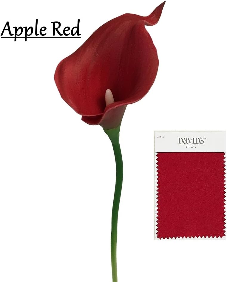 david's bridal apple red