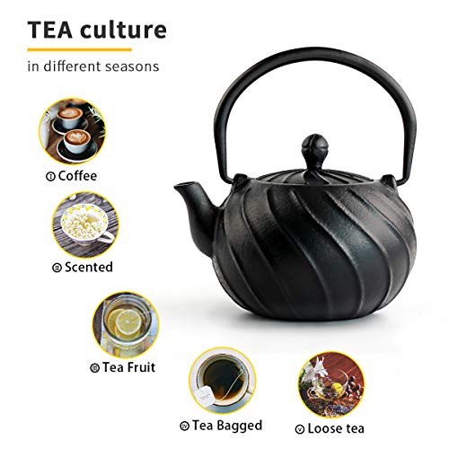 Tea Kettle, TOPTIER Japanese Cast Iron Teapot with Infuser, Stovetop