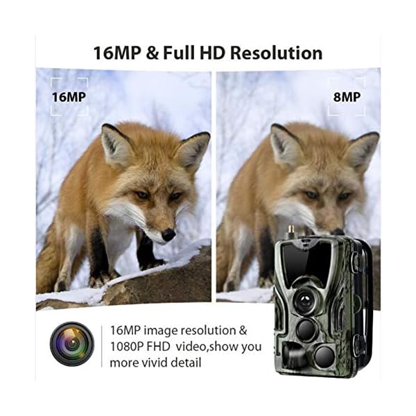 HUJUNG 4G Wildkamera Fotofalle 16MP 1080P mit Handy übertragung und 5000Mah Lithium-Batterie, IP65 wasserdichte… – Bild 7