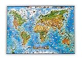 Image de HEM2059 - ANIMALS OF THE WORLD MAP