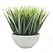 Velener Farmhouse Fake Grass Artificial Plants for Home Decor Indoor Tabletop Plant Book Shelf Small Desk Office