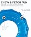 Petstages Orka Tire Royal Blue Treat-Dispensing Dog Chew Toy