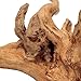 Hamiledyi Driftwood for Aquarium Wood Natural Trunk Reptile Branches Tree Fish Tank Plant Stump Ornament Decor(L: 7.5″-11.5″)thumb 4