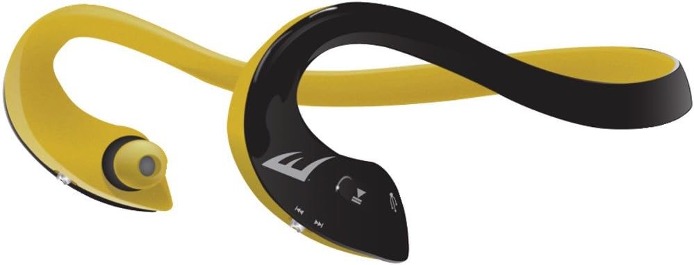 everlast bluetooth speaker