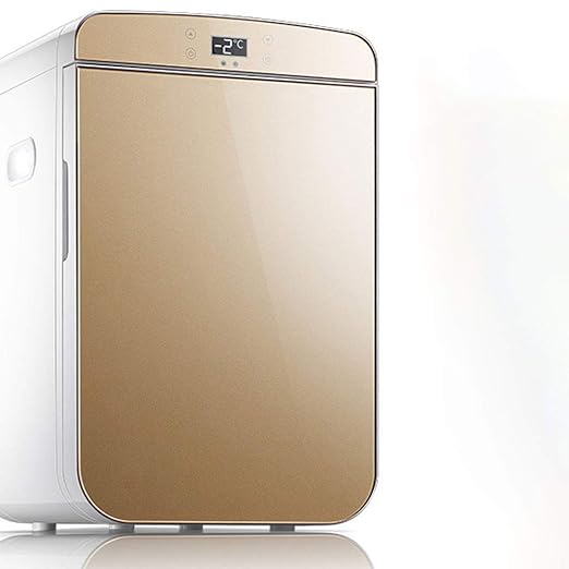 GGXX Pequeño Fiesta Nevera de Coche, Picnic refrigeración ...