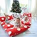 Butterfly Craze Kid's Floor Pillow Bed Cover - Use as Nap Mat, Portable Toddler Bed Alternative for Sleepovers, Travel, Napping, or as a Lounger for Reading, Playing. Cover Only!