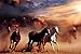 Horses (Stampede) Art Poster Print - 24x36 Poster Print, 36x24 Poster Print, 36x24