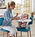 Fisher-Price SpaceSaver High Chair