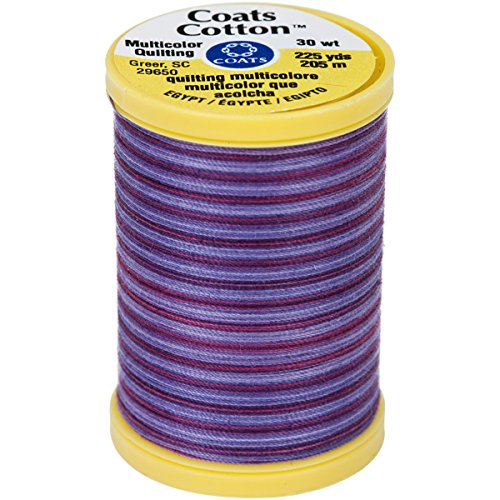Coats Cotton Machine Plum Shadows Quilting Thread, 225 yd, Multicolor