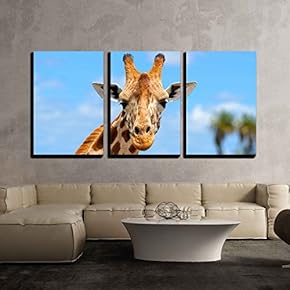 Giraffe in Front Amboseli National Park Kenya x3 Panels