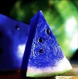 10Pcs Rare Variety Plant Blue Watermelon Seed Vegetable Organic Home Garden BD05