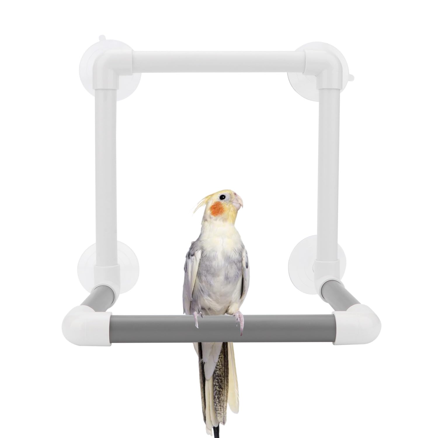 Hypeety Bird Parrot Stand Perch Shower Perch Standing Toy Portable Suction Cup Parrot Bath Stands Suppllies Holder Platform Parakeet Window Wall Hanging Play (4 Suction Cups)