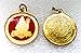 Sri Maha Mrityunjaya Mritunjaya Yantra Kavach Amulet-Energized Engraved Enameled Laminated Yantra For Fear, Phobia, bestows good fortune - USA SELLER