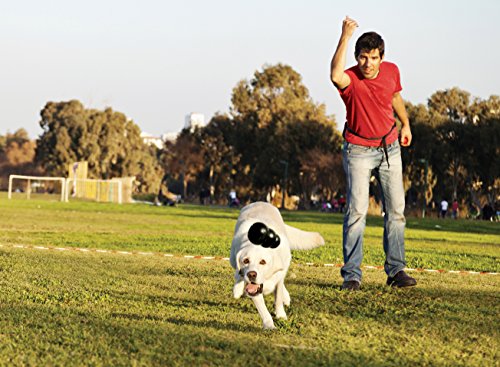 KONG Extreme Dog Toy, Medium, Black