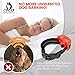 Our K9 Training Made Easy Shock Collar  for  Small Dogs –  Adjustable Shock,  Pain Free  Option Availablethumb 3