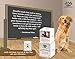 Pet Odor Eliminator Candle Relaxing Wildwoods Scented Candle, Calming Candles Aromatherapy for Home Decor, Soy Wax Pet Candles Odor Eliminator for Animal Lover, Aromatherapy by Gerrard Larriett