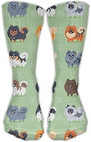 Pomeranian Dog Unisex Novelty Fashion Funny Cute Crazy Cotton Crew Socks