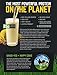 Onnit The Dolce Whey Banana Almond Flavor, 10 Ounce