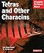 Tetras and Other Characins (Complete Pet Owner's Manual) by Mark Phillip Smith