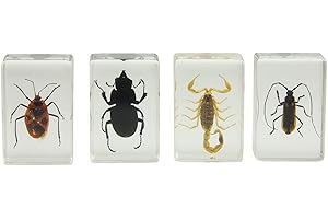 Celestron – Real 3D Bugs in Clear Resin – 4pc Set Includes Scorpion, Stag Beetle, Longhorn Beetle, and Fire Bug – Perfect for Science Eduction and Classroom – Use with Digital and Stereo Microscopes
