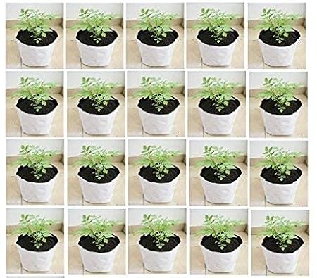 YUVAGREEN UV Treated Poly Grow Bags (White Outside, Black Inside - 20 Bags)