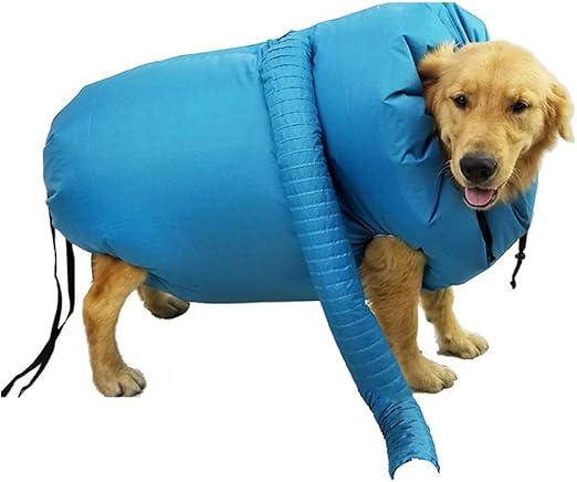 best dog microchip registry