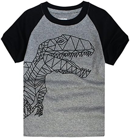 Little Boys T-Shirts Short Sleeve T-Rex Clothes Summer Toddler/Infant Kids Casual Tee 2t