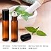 Glass Roller Bottles - Amber, 10ml, Pack of 8 by Proteove, Stainless Steel Roller Balls and Droppers Included