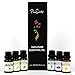 Best Essential Oils Gift Set by PureScents, 100% Pure, Six 10ml (0.34 fl oz) Aromatherapy Oils. Perfect to kill Germs, Bad Smells and a Bad Mood, great for a Relaxing and Rejuvenating Experience!