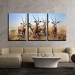 3 Piece Canvas Wall Art - The American Museum of Natural History in Manhattan, New York City. - Modern Home Art Stretched and Framed Ready to Hang - 16"x24"x3 Panels