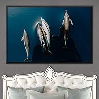 Framed Canvas Wall Art Swimming Free Cool Group Marine Life Multicolor Nautical Photography Realism Relax/Calm Whale - 16x24 inches